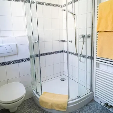 Appartementhaus Regina - Darmstadt - 公寓 *